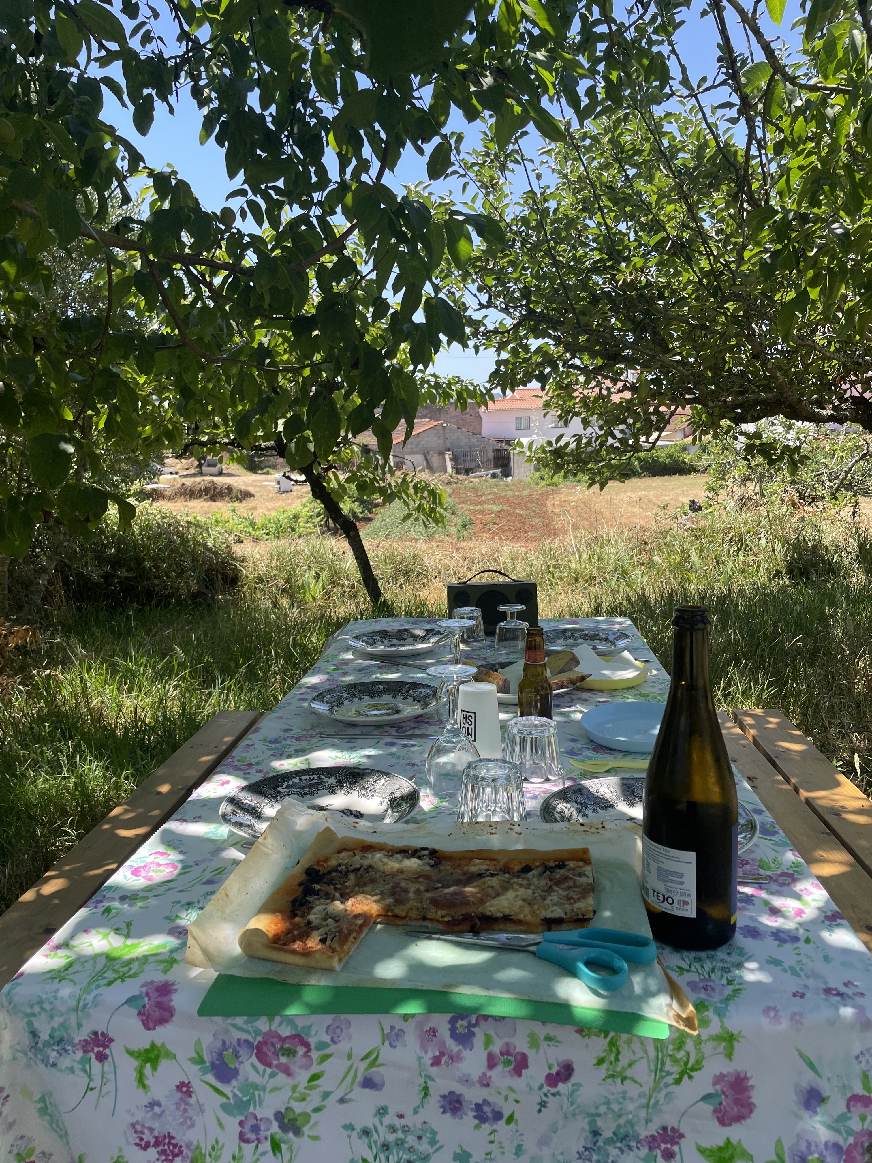 Private dinner at Kutumb Feliz — seasonal local ingredients